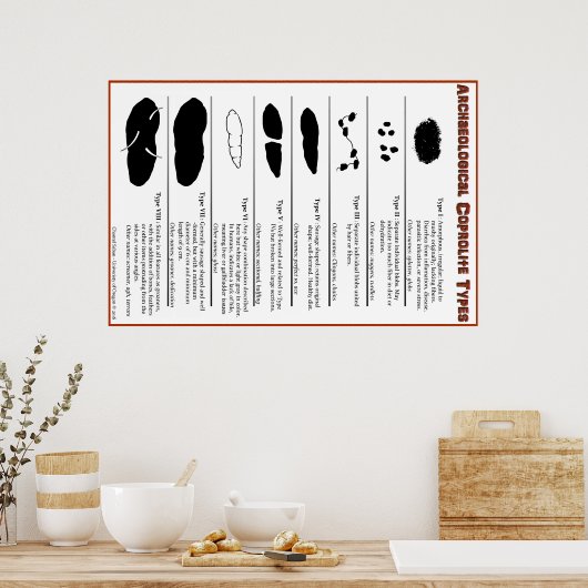 Archeologisches Coprolite Types Poster (Küche)