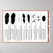 Archeologisches Coprolite Types Poster (Vorne)