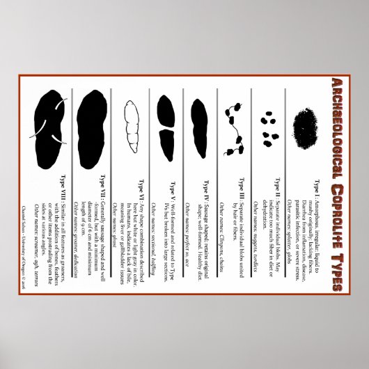 Archeologisches Coprolite Types Poster (Vorne)