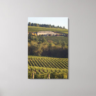 Archery Summit tan Gebäude auf Hügel Leinwanddruck