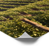 Archery Summit tan Gebäude liegt auf einem Hügel Poster (Ecke)