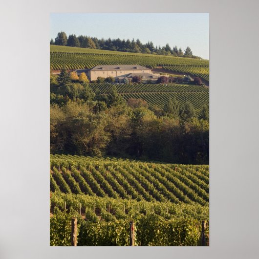 Archery Summit tan Gebäude liegt auf einem Hügel Poster (Vorne)