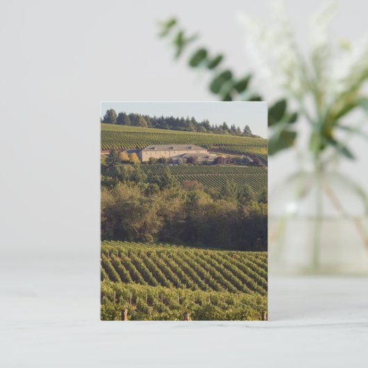 Archery Summit tan Gebäude liegt auf einem Hügel Postkarte (Stehend Vorderseite)