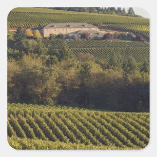 Archery Summit tan Gebäude liegt auf einem Hügel Quadratischer Aufkleber