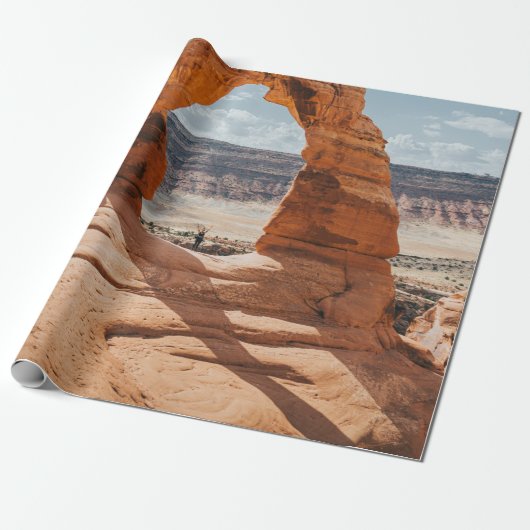 ARCHES NATIONAL PARK GESCHENKPAPIER (Ungerollt)