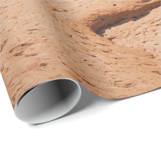 ARCHES NATIONAL PARK GESCHENKPAPIER (Rolleneckpunkt)