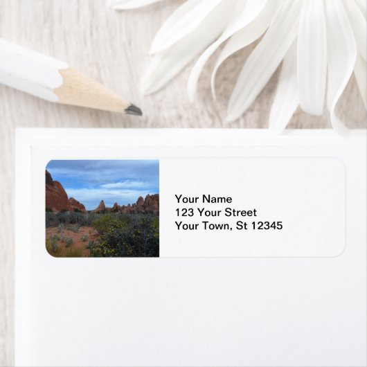 Arches National Park Scene (Insitu)