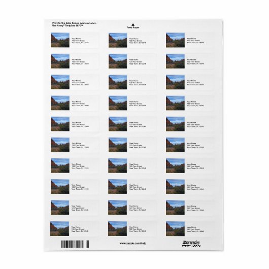 Arches National Park Scene (Vorne)