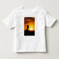 Arches Nationalpark, ABER Balance Felsen