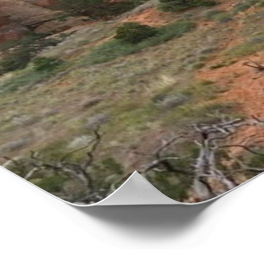 Arches Nationalpark Poster (Ecke)