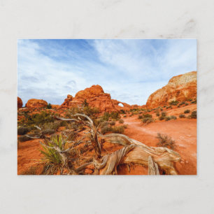 Arches Nationalpark Postkarte