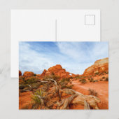 Arches Nationalpark Postkarte (Vorne/Hinten)