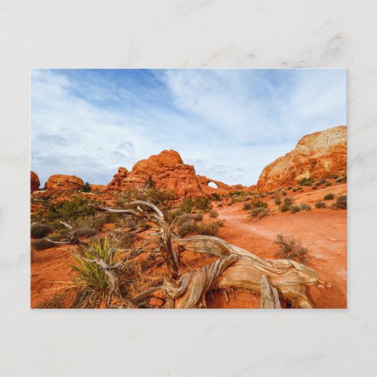 Arches Nationalpark Postkarte (Vorderseite)