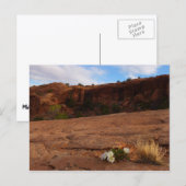 Arches Slickrock und Abend Primrose Landschaft Postkarte (Vorne/Hinten)
