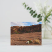 Arches Slickrock und Abend Primrose Landschaft Postkarte (Stehend Vorderseite)