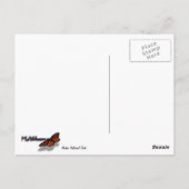 Arches Slickrock und Abend Primrose Landschaft Postkarte (Rückseite)