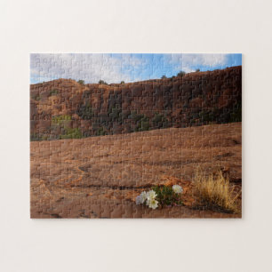 Arches Slickrock und Abend Primrose Landschaft Puzzle