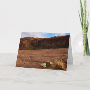 Arches Slickrock und Abendprimel Landschaft Karte
