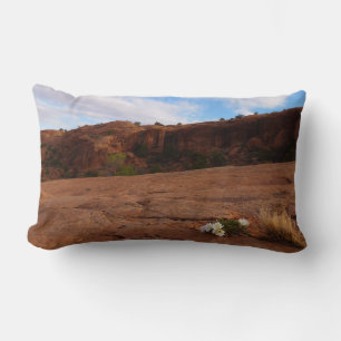 Arches Slickrock und Abendprimel-Landschaft Lendenkissen