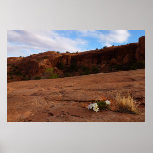 Arches Slickrock und Abendprimel-Landschaft Poster