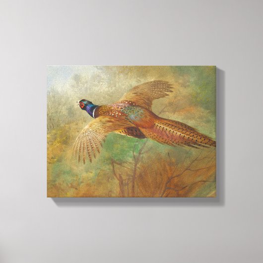 Archibald Thorburn Flying pheasant Bird Bilder Leinwanddruck (Vorderseite)