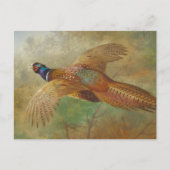 Archibald Thorburn Flying pheasant CC0583 Postkarte (Vorderseite)