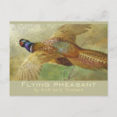 Archibald Thorburn Flying Pheasant CC0679 Postcard Postkarte (Vorderseite)