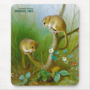 Archibald Thorburn Niedlich Mäuse (Dormice 1903) C Mousepad
