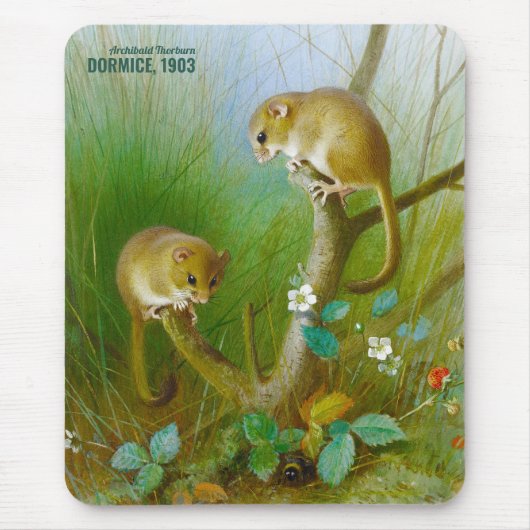 Archibald Thorburn Niedlich Mäuse (Dormice 1903) C Mousepad (Vorne)