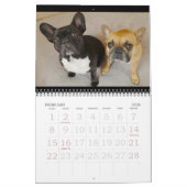 Archie Brindletons 2019times Calendarbook!! Kalender (Feb 2026)