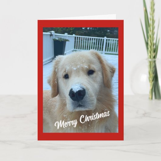 Archie Christmas Snow #3 Dankeskarte (Vorderseite)