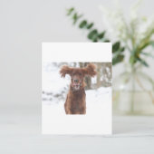 Archie II Postkarte (Stehend Vorderseite)