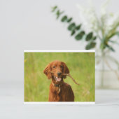 Archie Postkarte (Stehend Vorderseite)