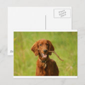 Archie Postkarte (Vorne/Hinten)