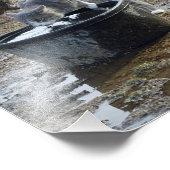 Archie und die Hühner Fotodruck (Ecke)