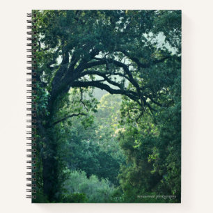 Arching Tree Notizblock
