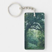 Arching Tree