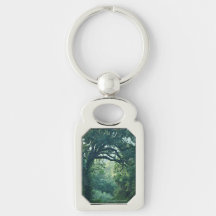 Arching Tree