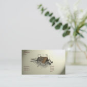 Architekten-Visitenkarte Visitenkarte (Stehend Vorderseite)