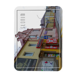 Architektur der Stadt Belarus Slonim Magnet