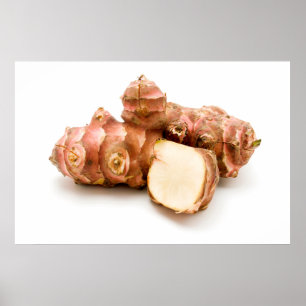 Archoke Jerusalem Poster