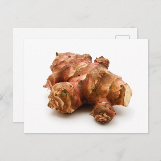 Archoke Jerusalem Postkarte (Vorne/Hinten)