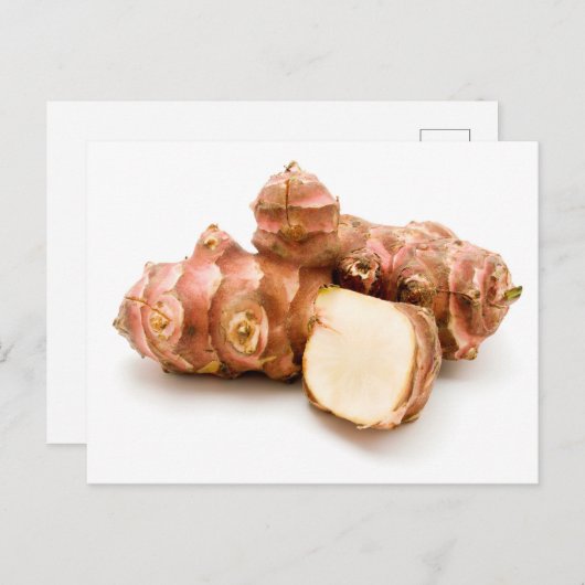 Archoke Jerusalem Postkarte (Vorne/Hinten)