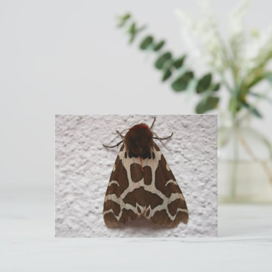 Arctia caja postkarte (Stehend Vorderseite)