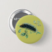 Arctia Caja Raupe Button (Vorne & Hinten)