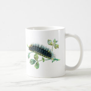 Arctia Caja Raupe Kaffeetasse