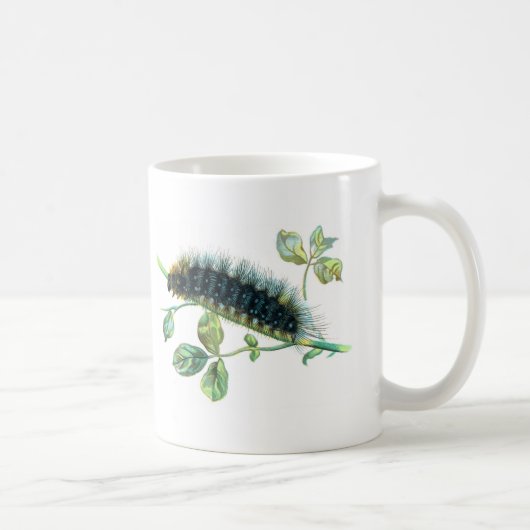 Arctia Caja Raupe Kaffeetasse (Rechts)