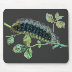Arctia Caja Raupe Mousepad