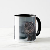 Arctic Alaska Blue Phase Winter Fox Foto entwickel Tasse (VorderseiteRechts)