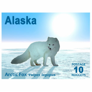 Arctic Fox - Alaska Postage Fotoskulptur Magnet